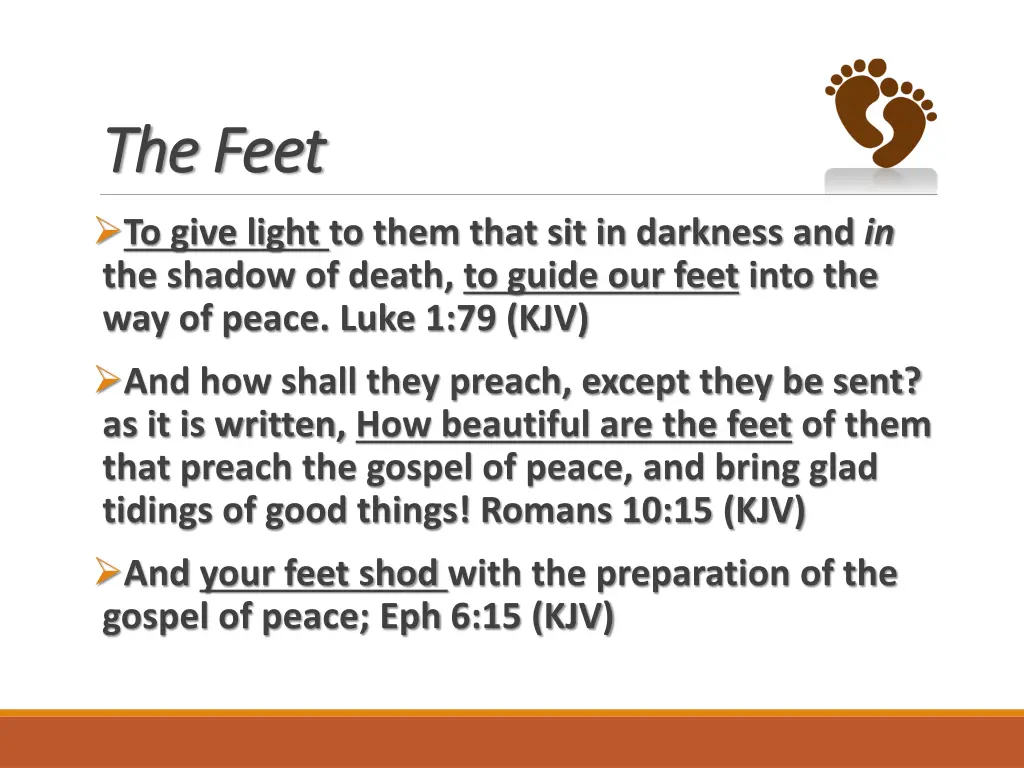 the feet the feet
