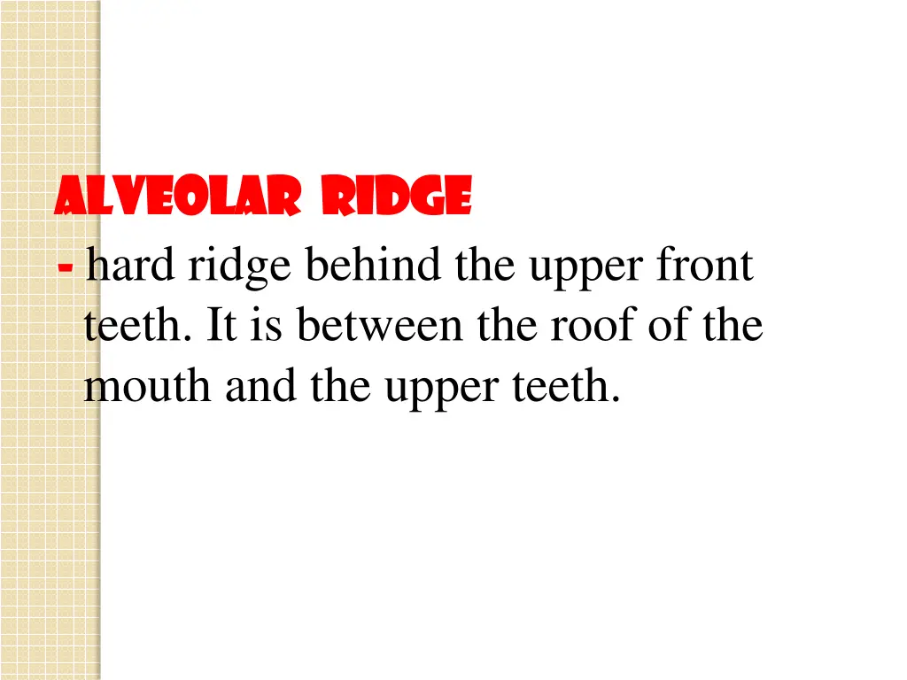 alveolar ridge alveolar ridge hard ridge behind