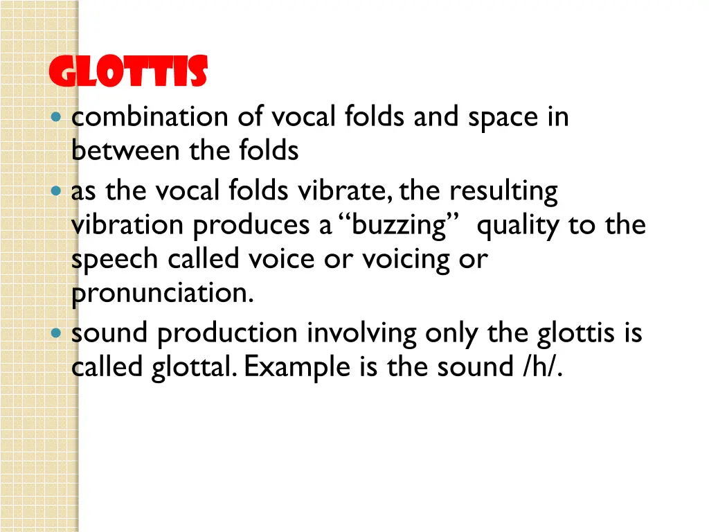 glottis glottis combination of vocal folds