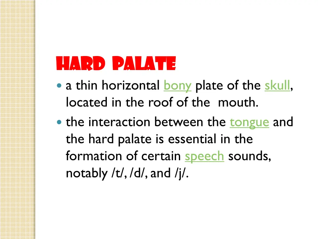 hard palate hard palate a thin horizontal bony