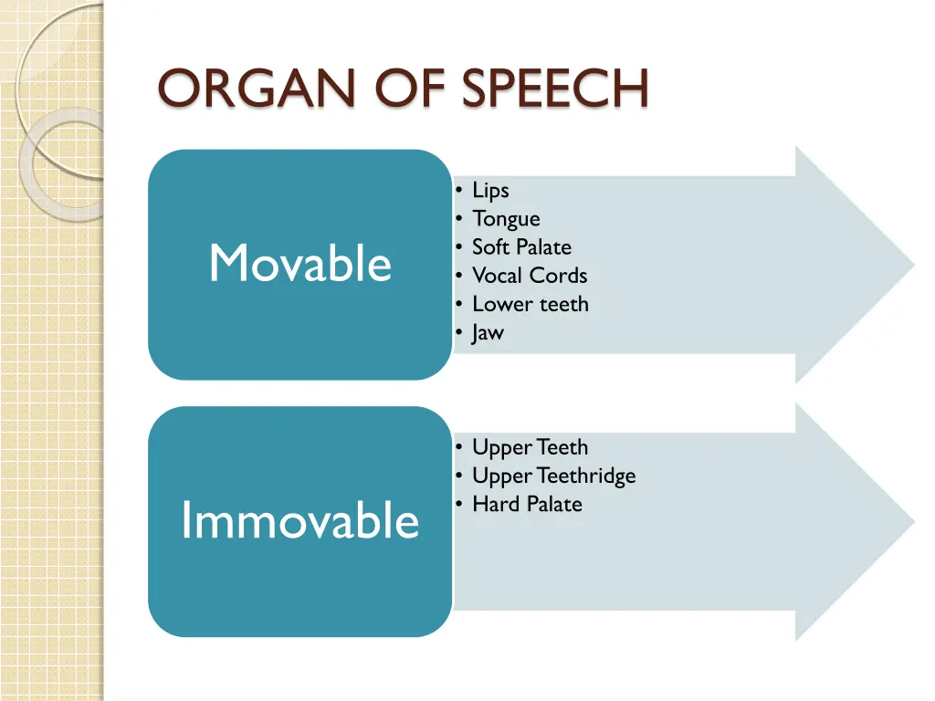 organ of speech
