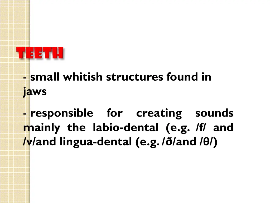 small whitish structures found in jaws