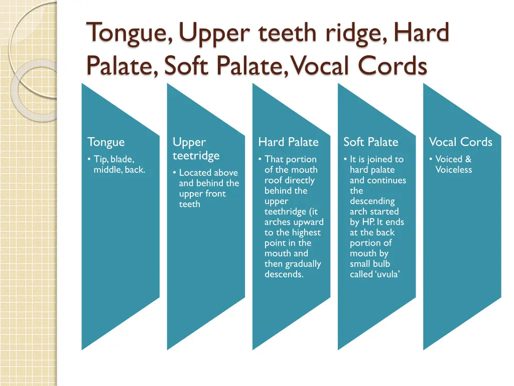tongue upper teeth ridge hard palate soft palate