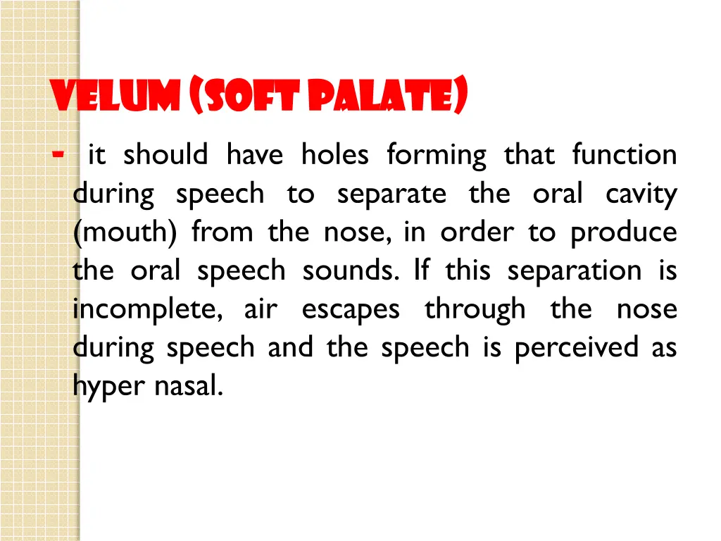 velum soft palate velum soft palate it should