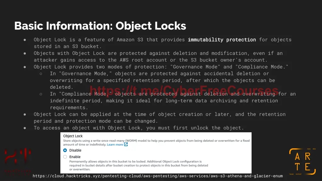 basic information object locks