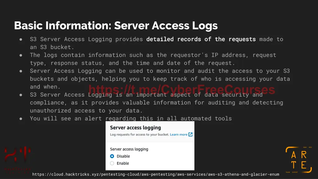 basic information server access logs