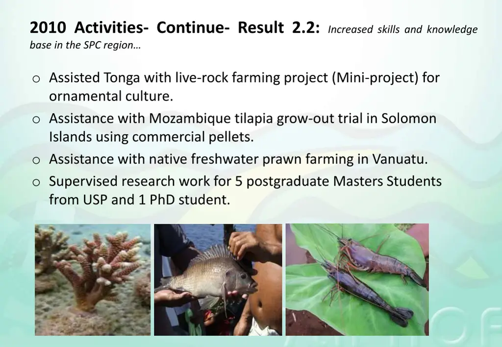 2010 activities continue result 2 2 increased