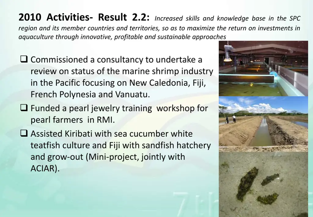 2010 activities result 2 2 increased skills