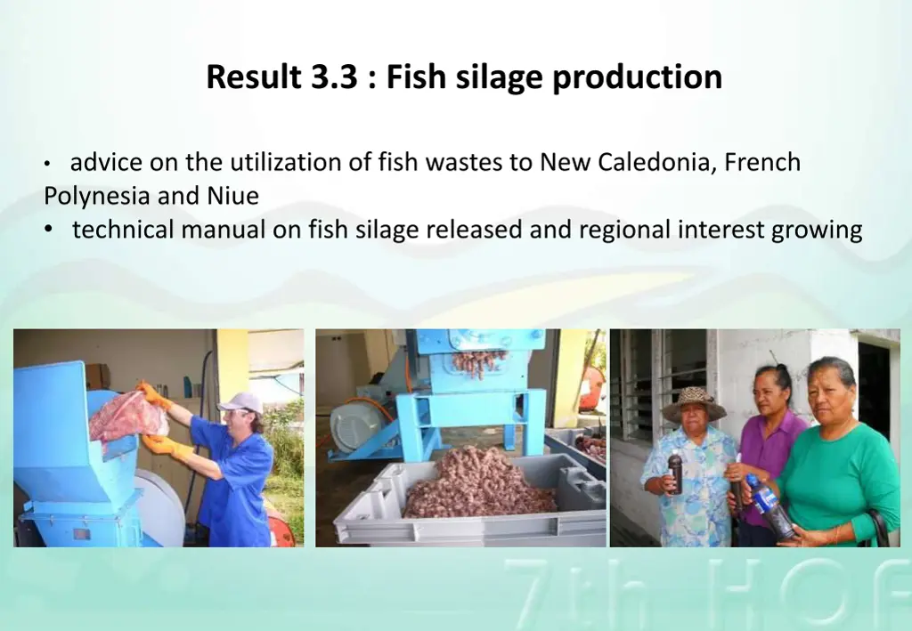 result 3 3 fish silage production