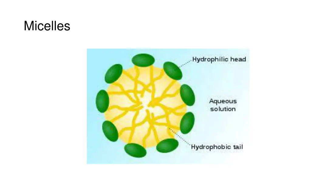 micelles