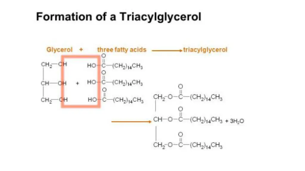 slide32