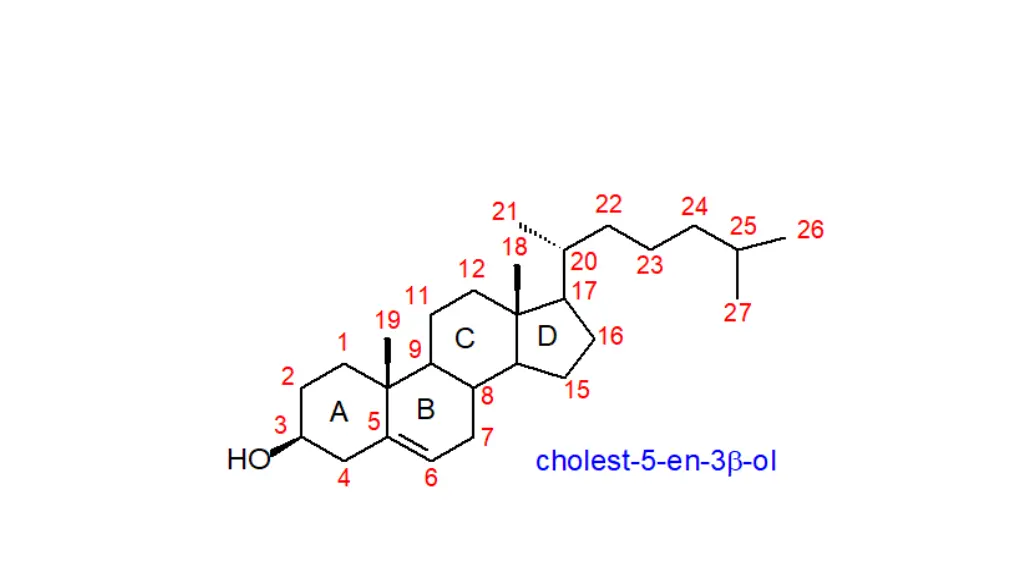 slide34