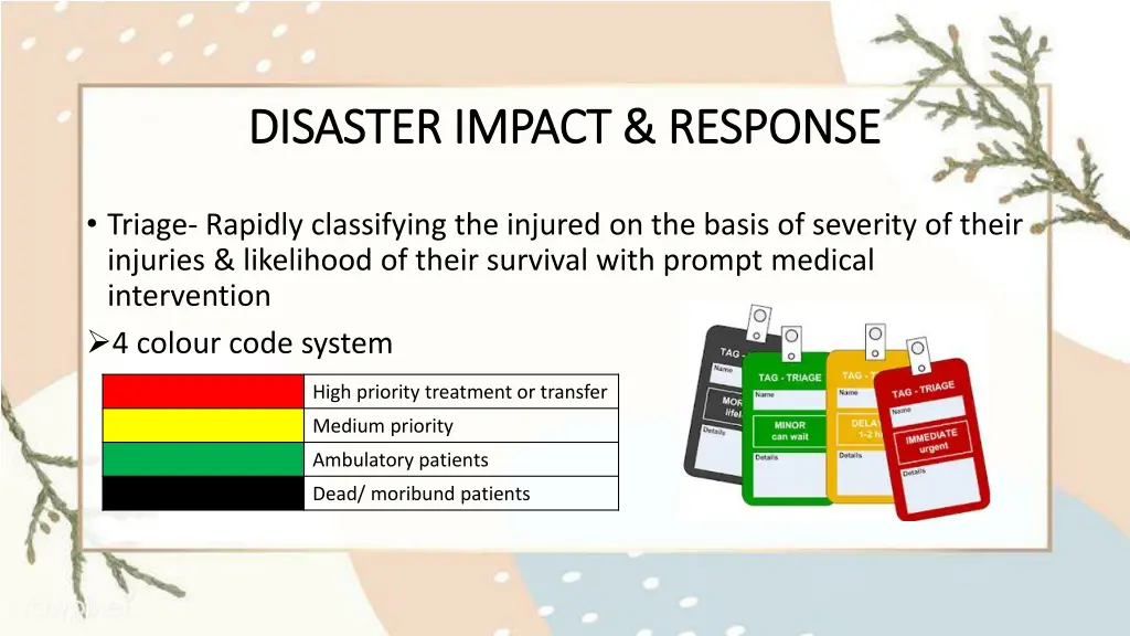 disaster impact response disaster impact response 1