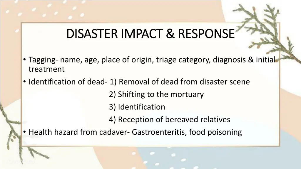 disaster impact response disaster impact response 2
