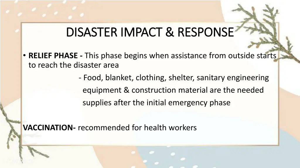 disaster impact response disaster impact response 3