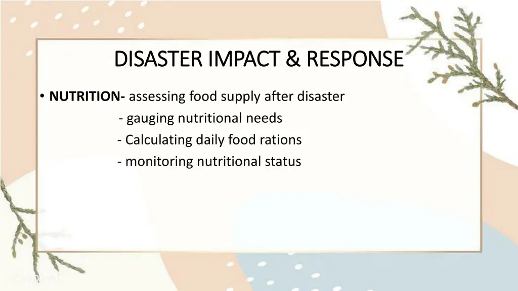 disaster impact response disaster impact response 4