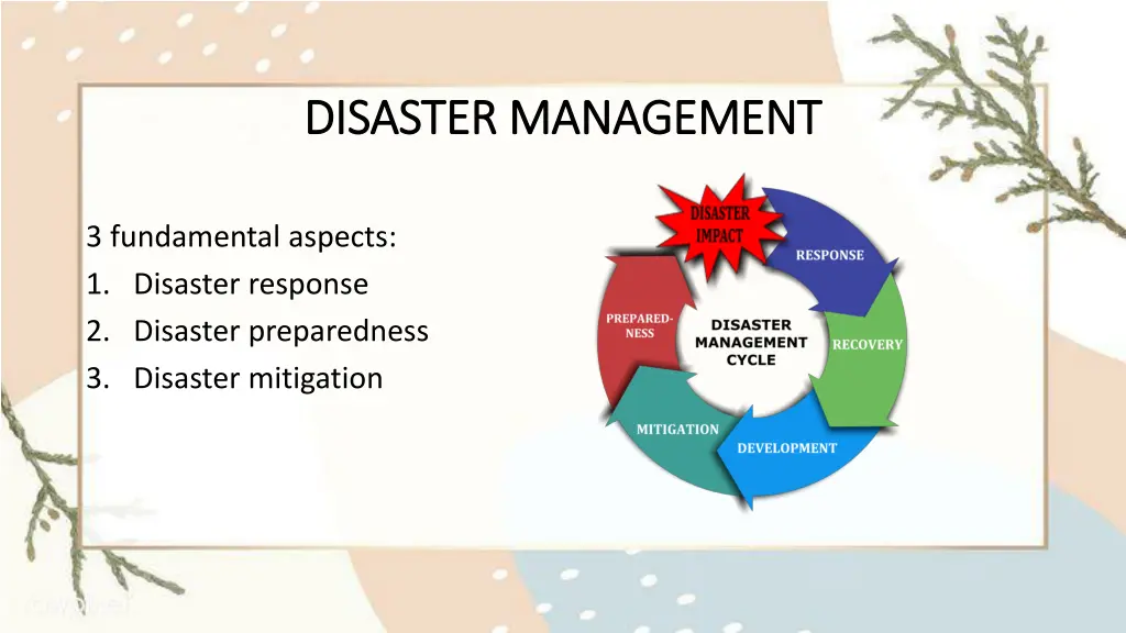 disaster management disaster management 1