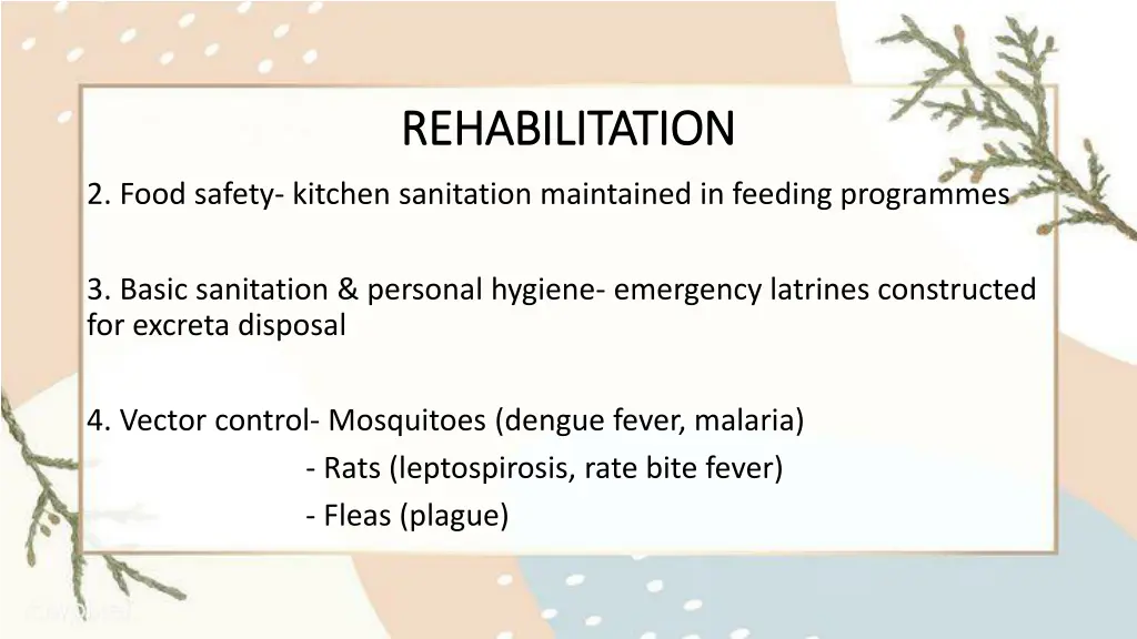 rehabilitation rehabilitation 1
