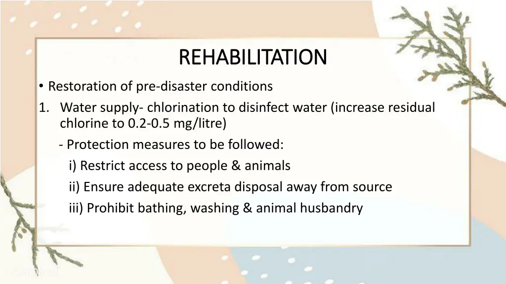 rehabilitation rehabilitation