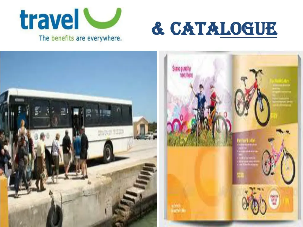 cata catalogue
