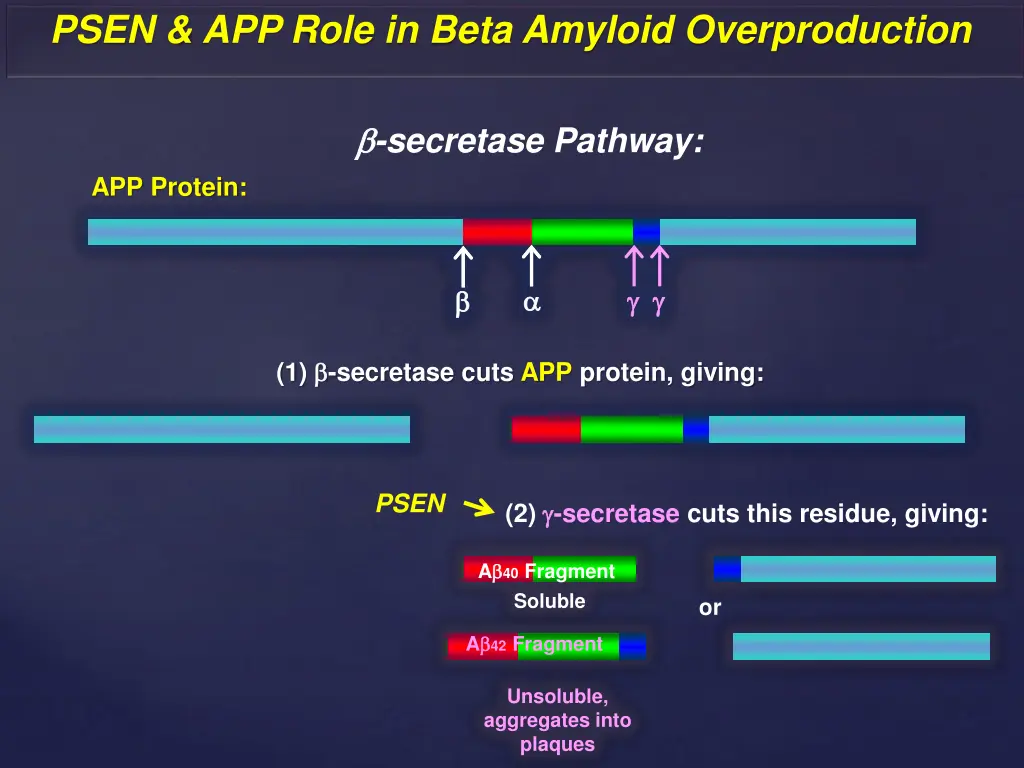 psen app role in beta amyloid overproduction