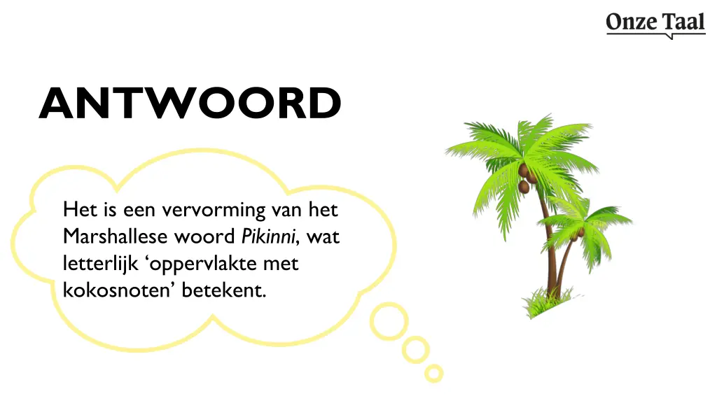antwoord 2