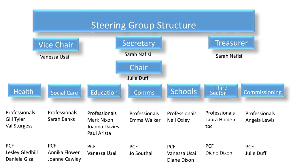 steering group structure