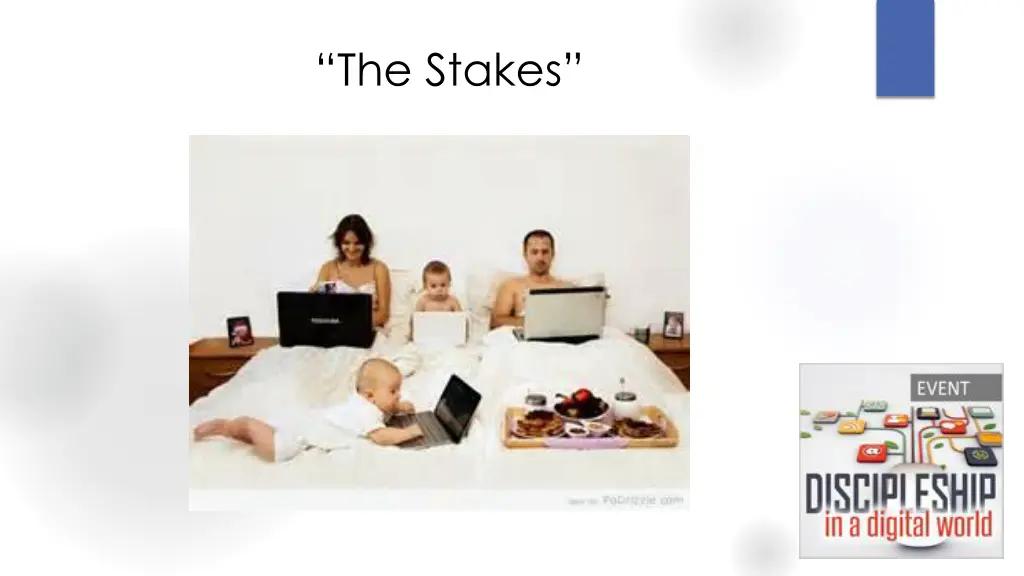 the stakes