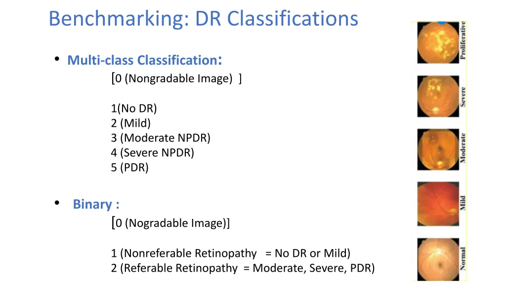 benchmarking dr classifications