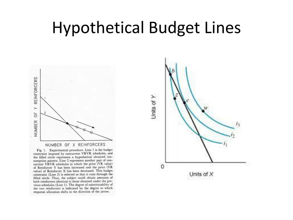 hypothetical budget lines