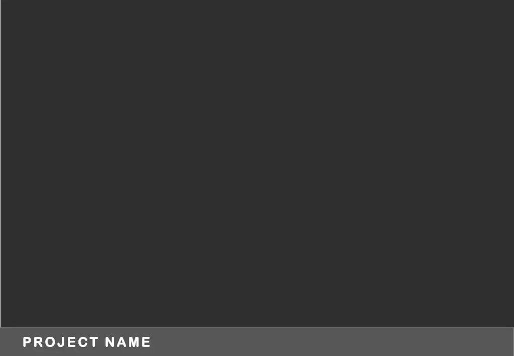 project name project name