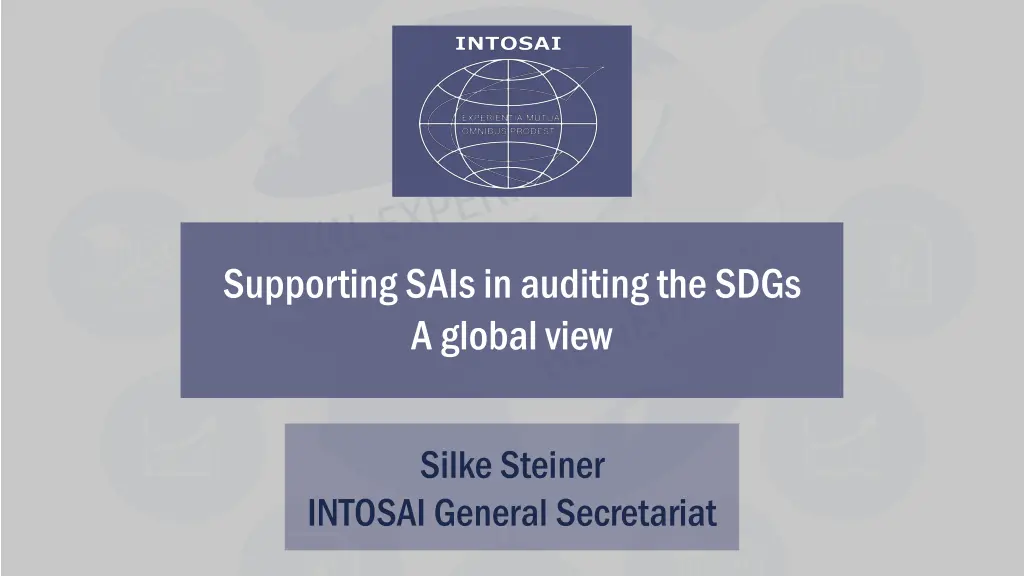 supporting sais in auditing the sdgs a global view