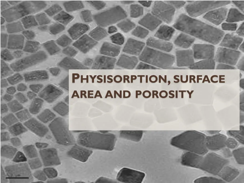 p hysisorption surface area and porosity