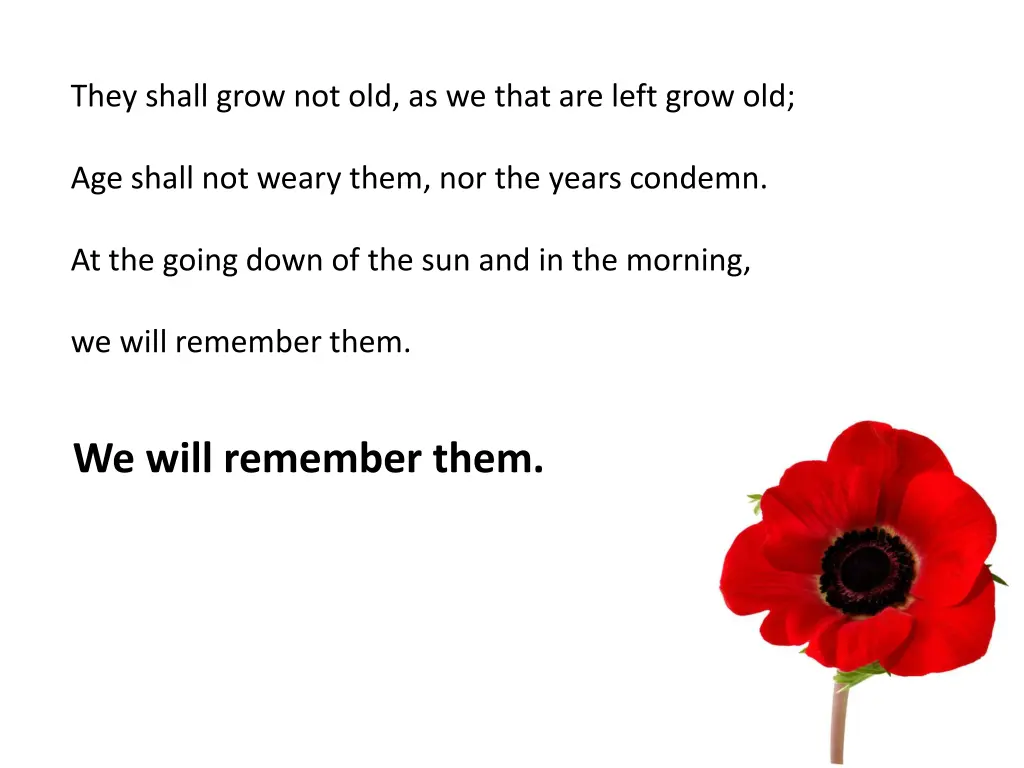 they shall grow not old as we that are left grow