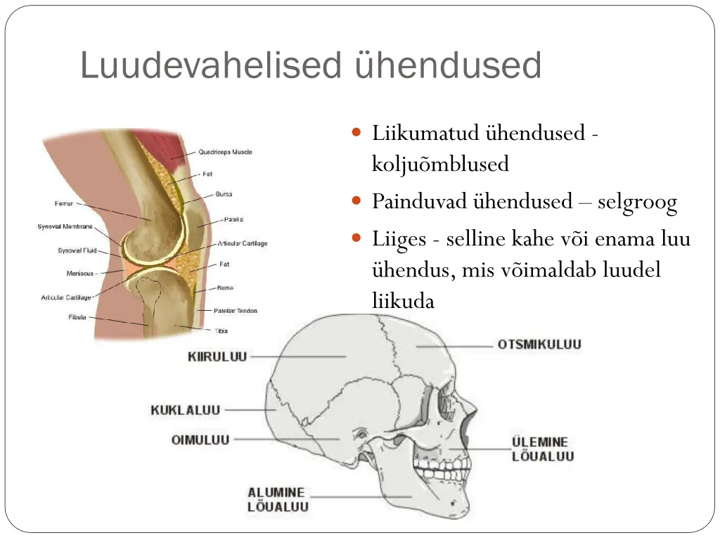luudevahelised hendused