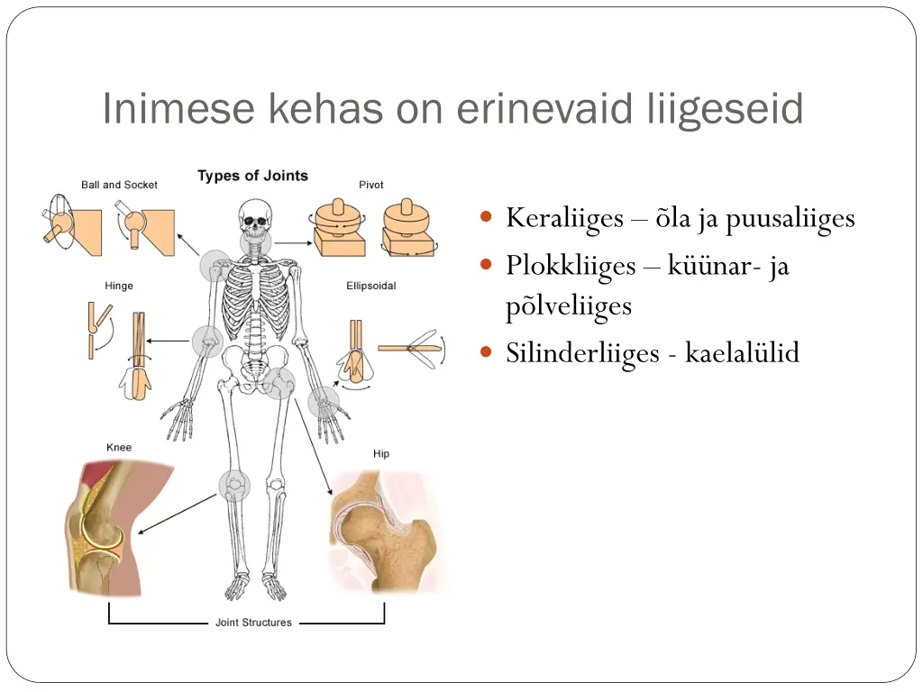 inimese kehas on erinevaid liigeseid