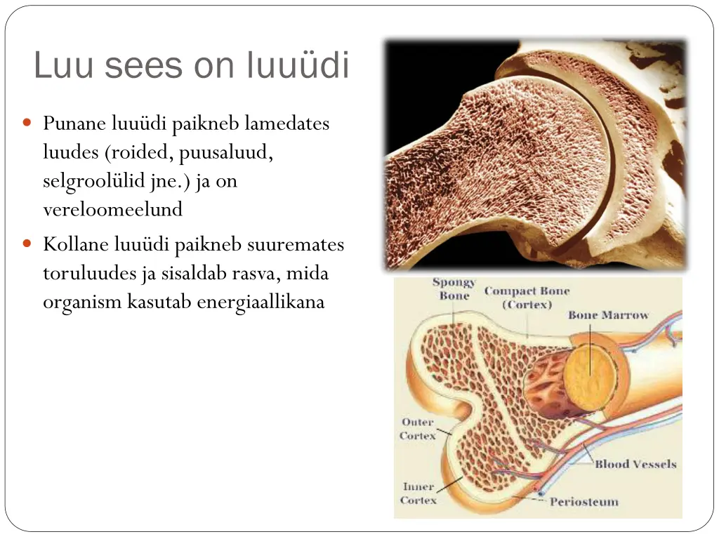 luu sees on luu di