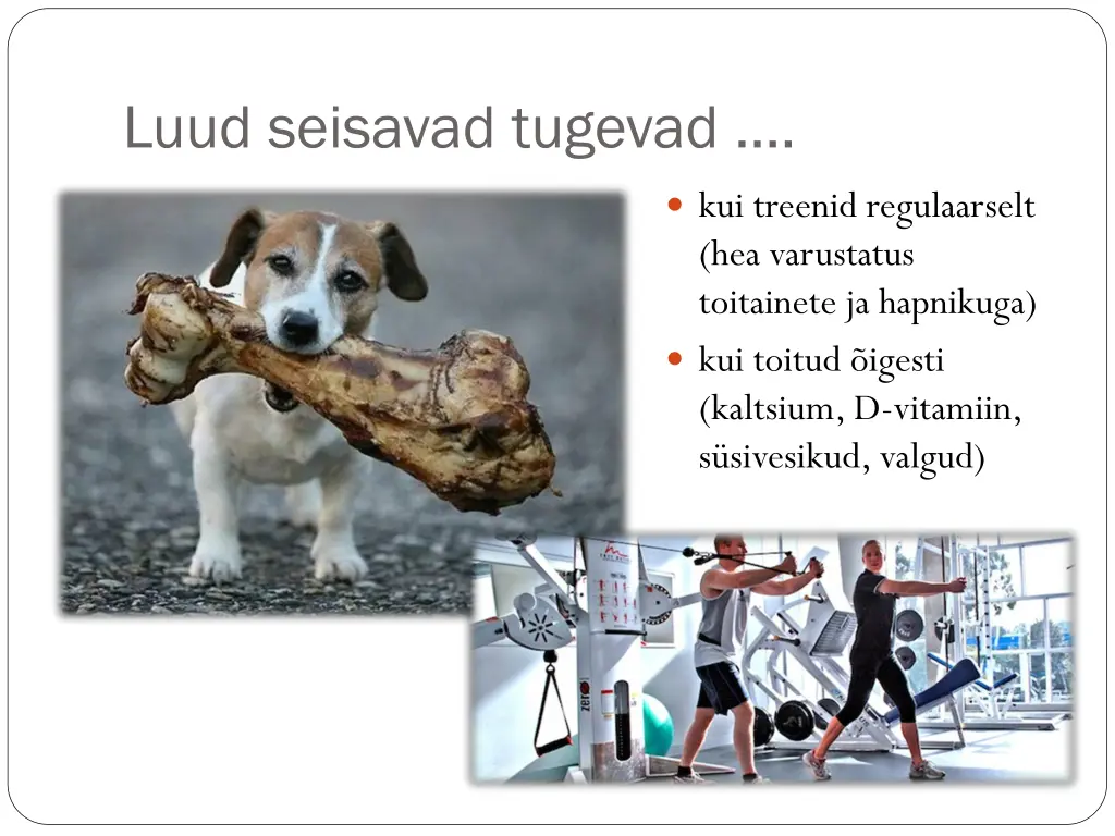 luud seisavad tugevad