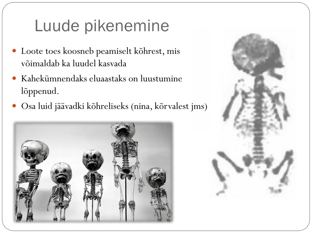 luude pikenemine