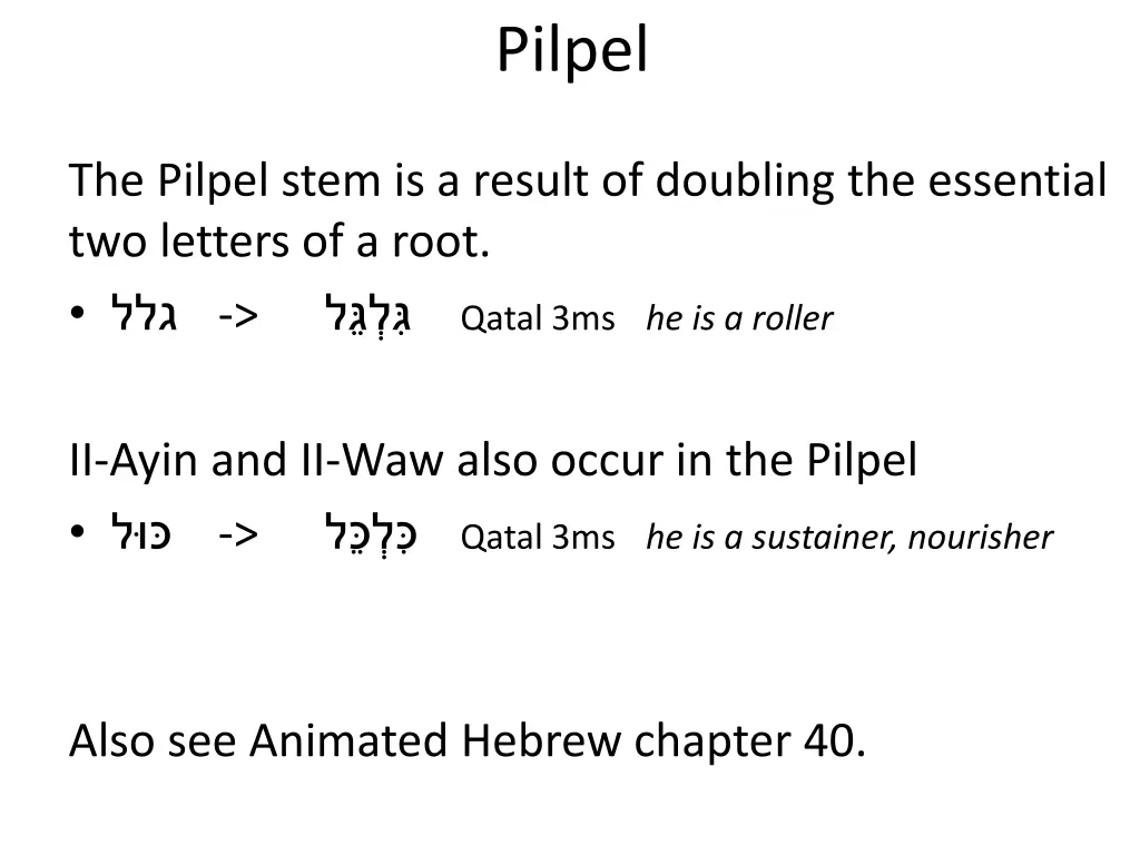 pilpel 1
