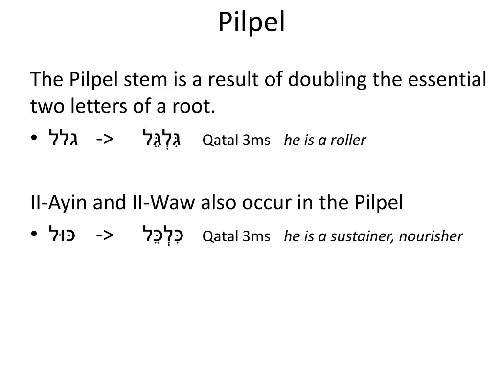 pilpel