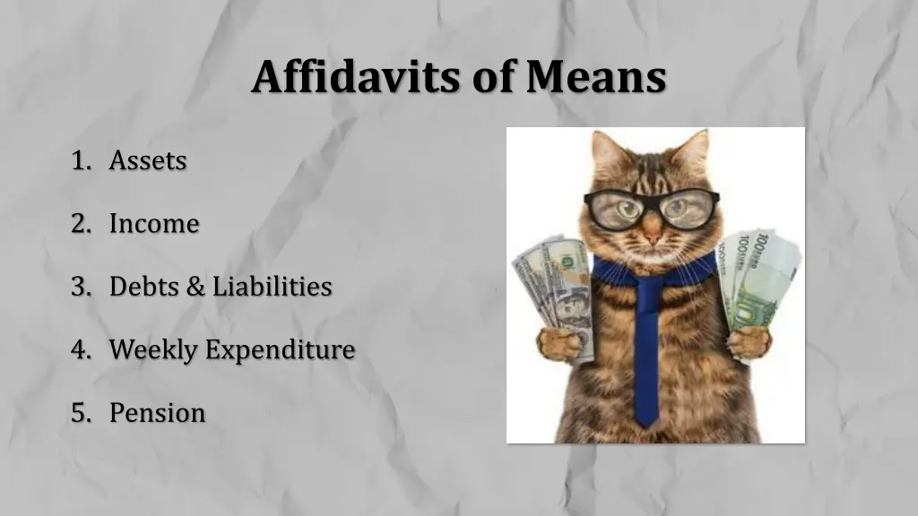 affidavits of means