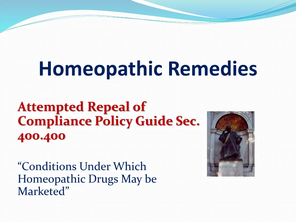 homeopathic remedies 1