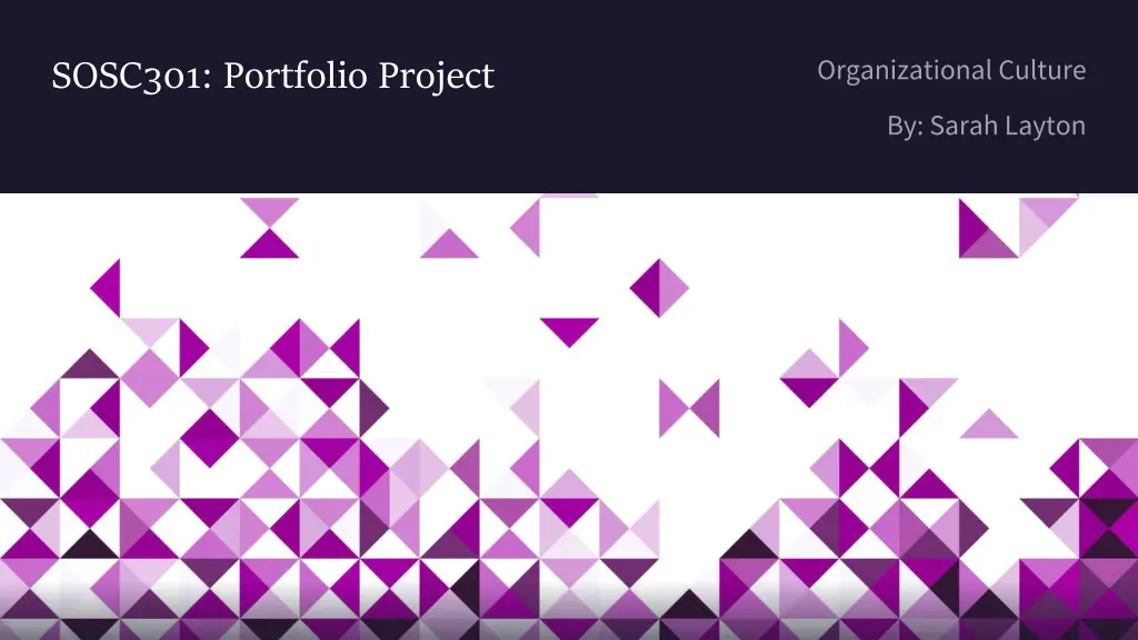 sosc301 portfolio project