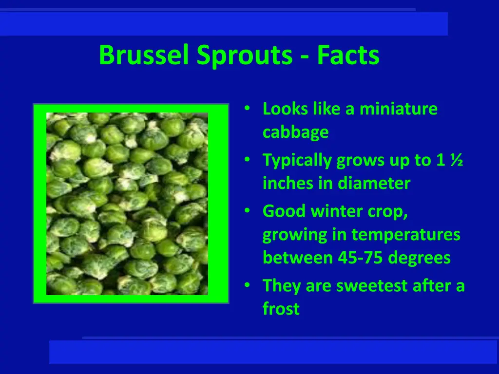 brussel sprouts facts 1