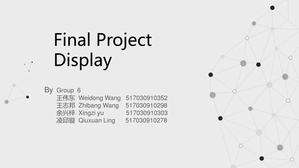 final project display