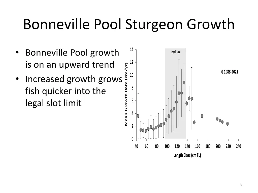 bonneville pool sturgeon growth