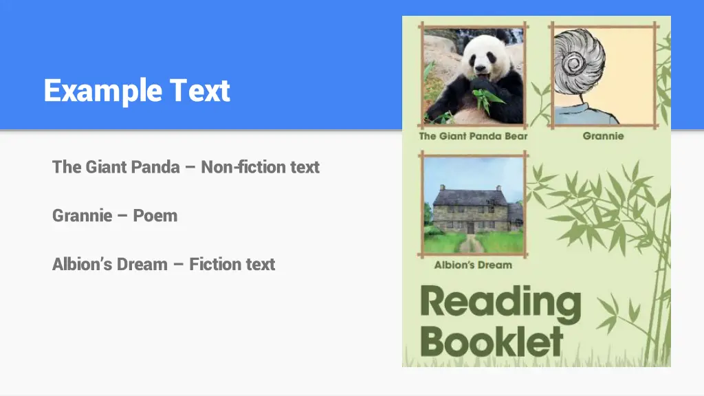 example text