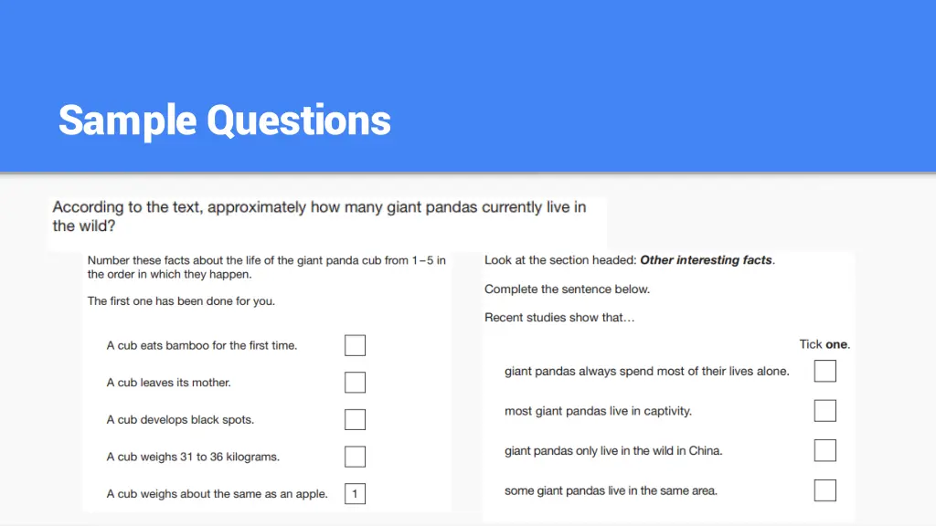 sample questions
