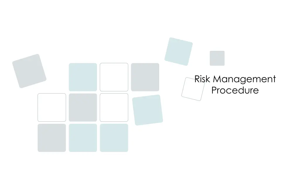 risk management procedure